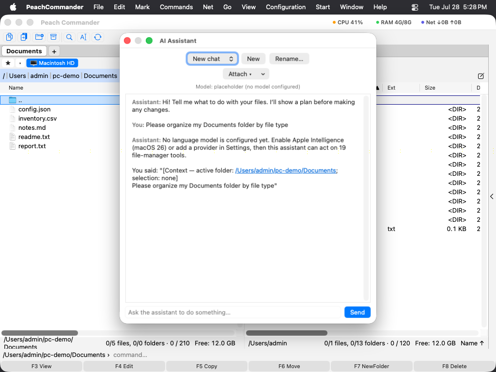 The AI assistant chat docked beside the file panels