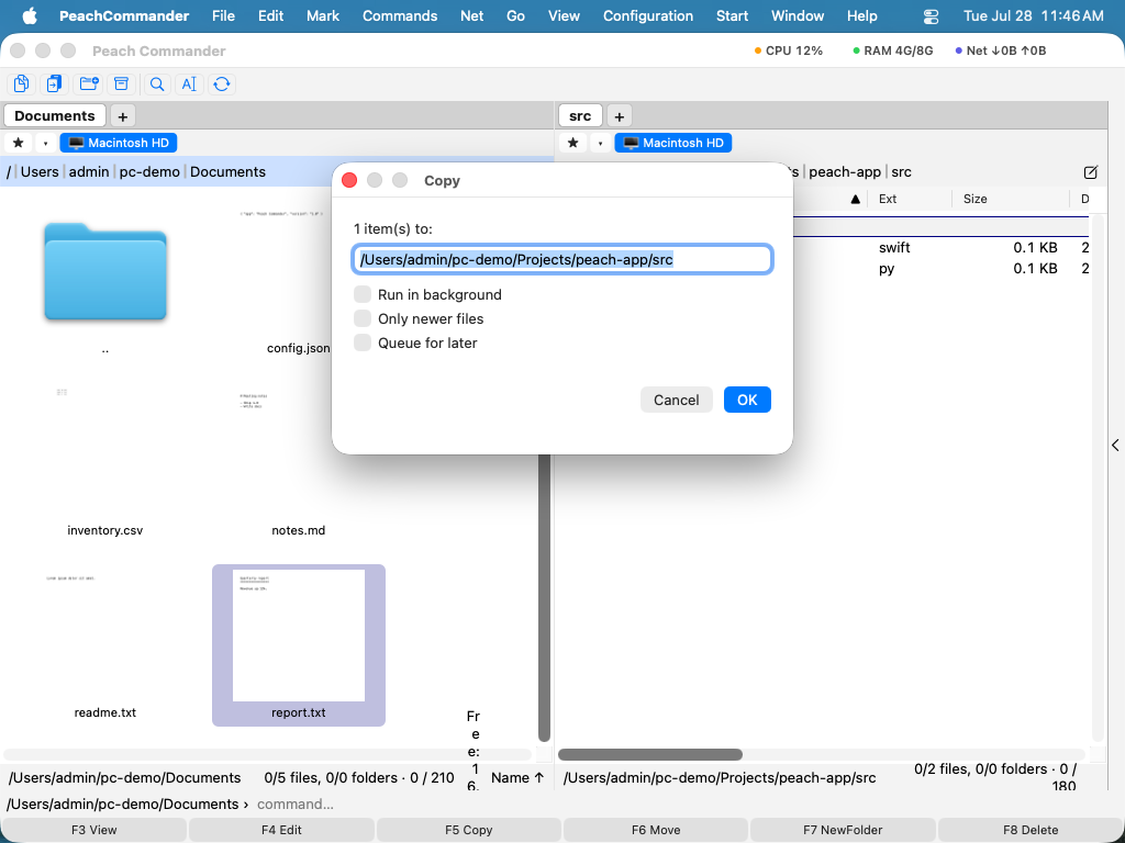 The copy dialog with the destination path and options