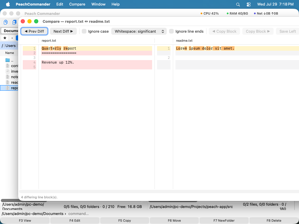 The compare window showing two text files side by side with differing lines highlighted