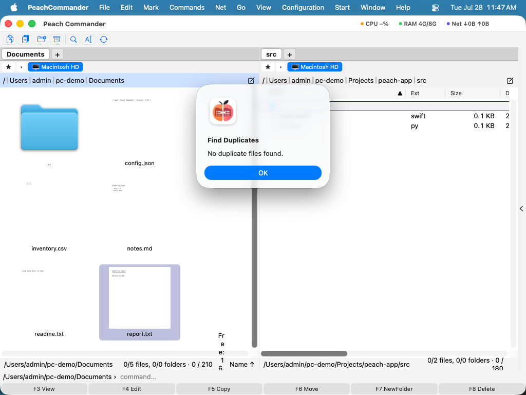 The duplicate finder listing groups of identical files