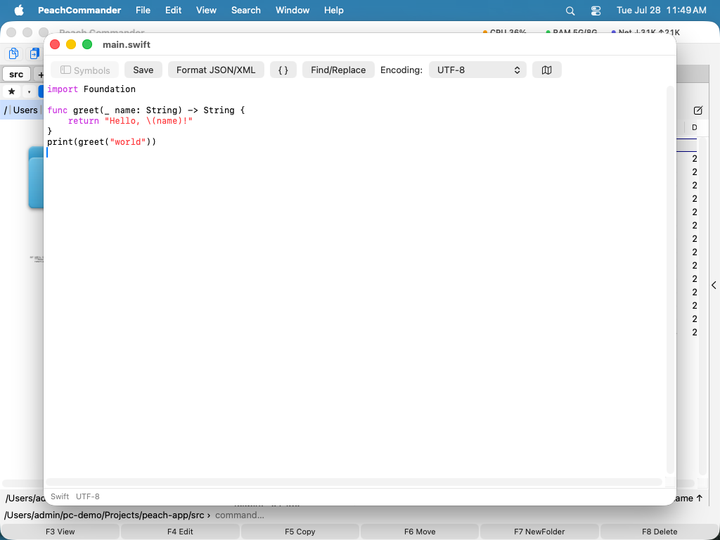 The built-in editor with syntax highlighting