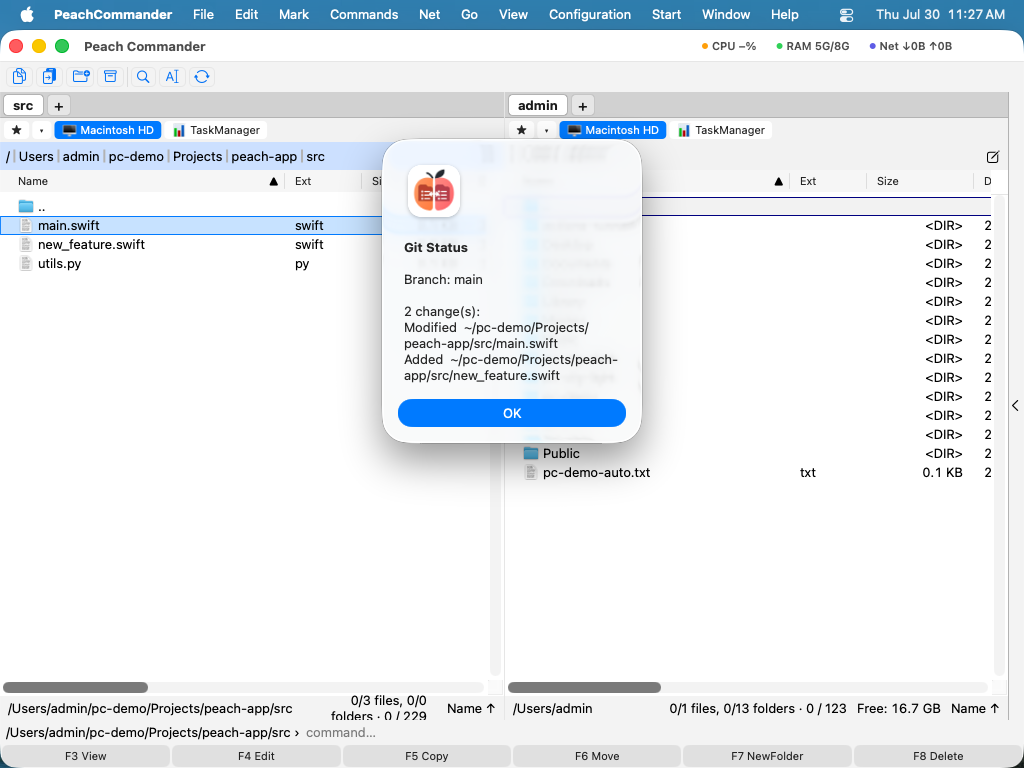 The Git Status dialog showing the current branch and the changed files in the repository