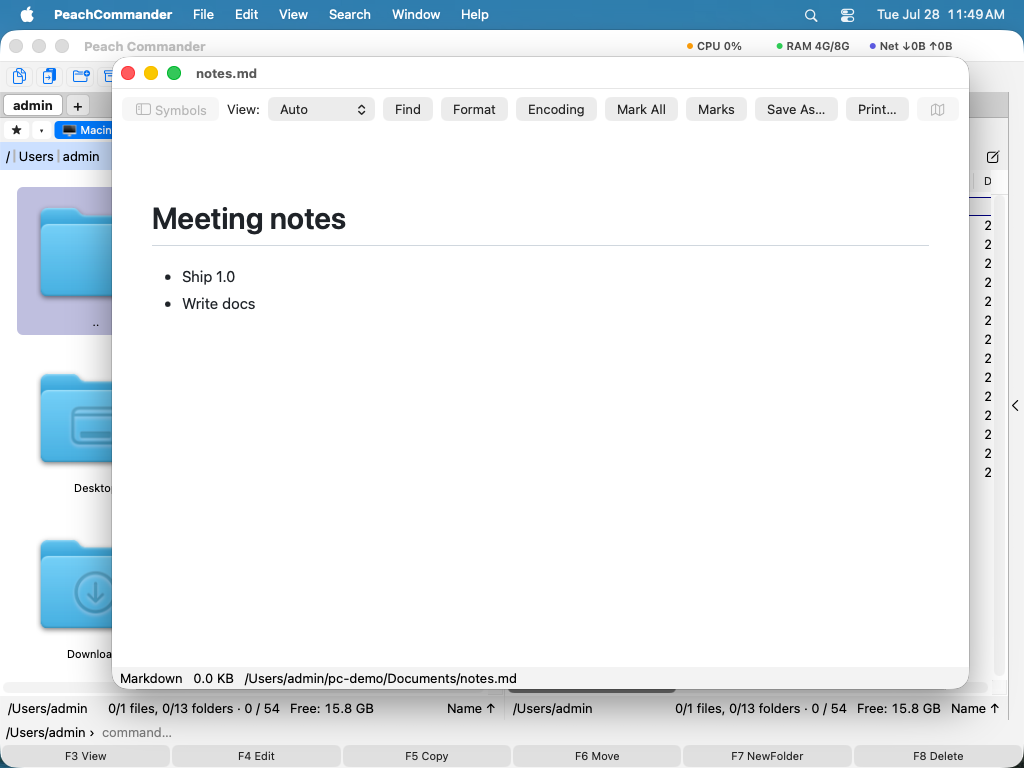The built-in viewer showing a text file with the minimap on the right