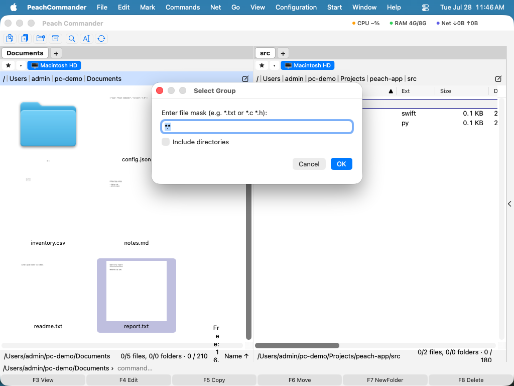 The Select Group dialog with a wildcard mask typed into the pattern field
