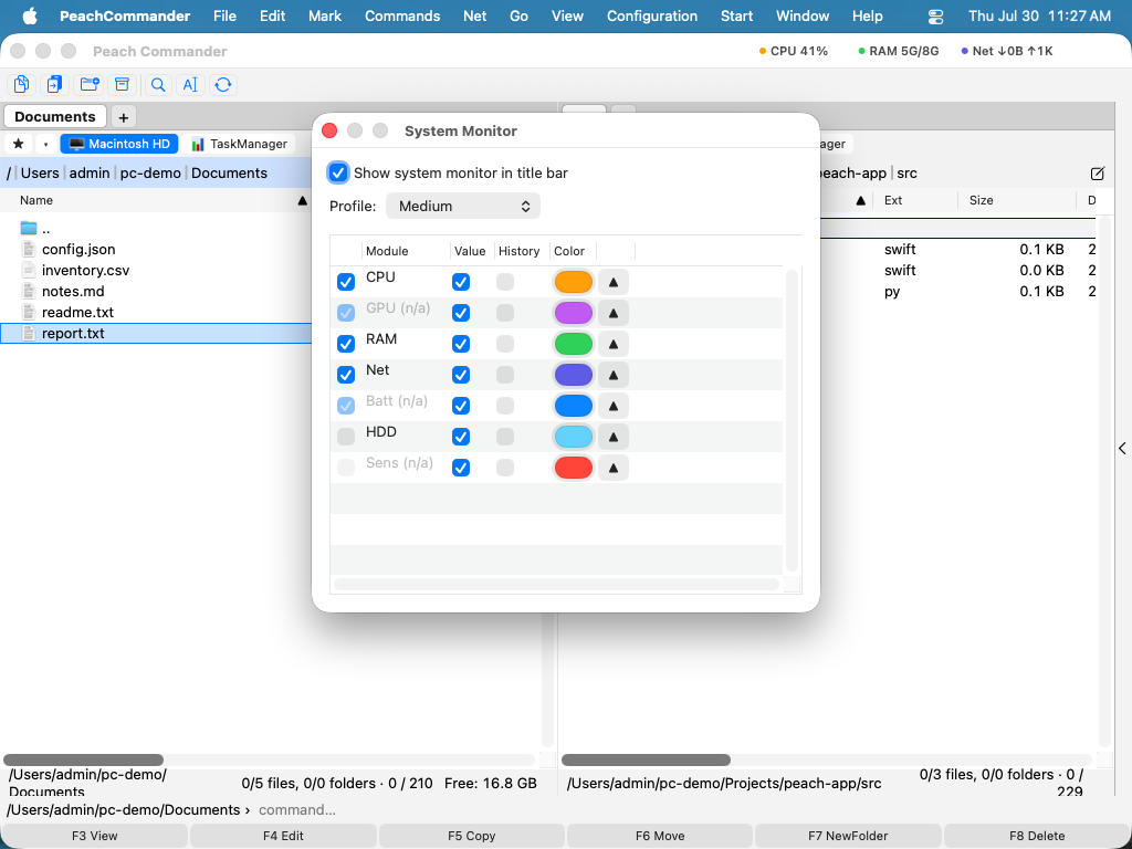 The System Monitor settings with its module table, profiles, and per-module colors