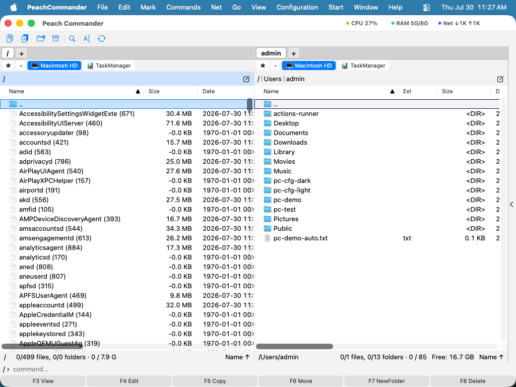 The Task Manager listing running processes with PID, CPU, memory, and command columns